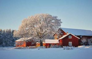 snowy farm